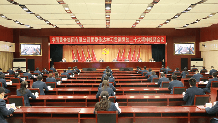 BB电子集团有限公司党委传达学习贯彻党的二十大会议精神